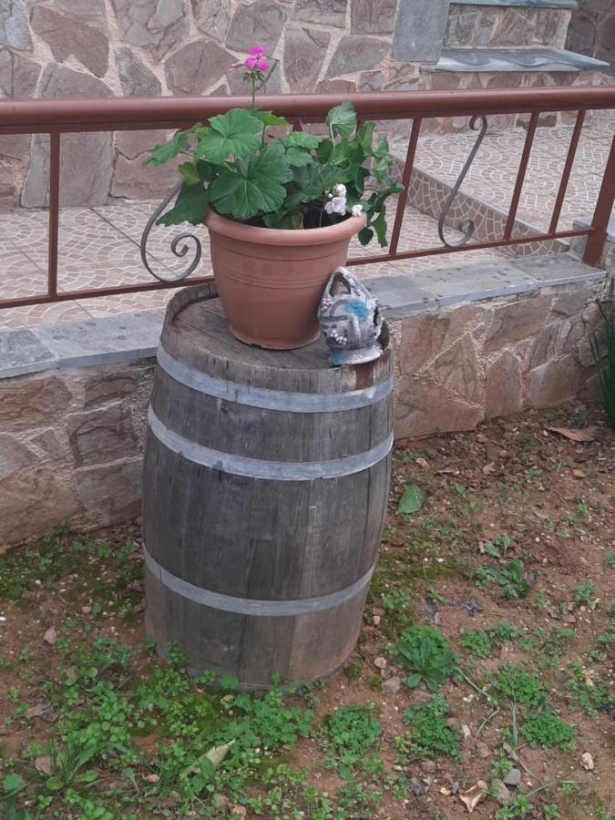 הוילה Pikérmion Peaceful House Near Airport מראה חיצוני תמונה