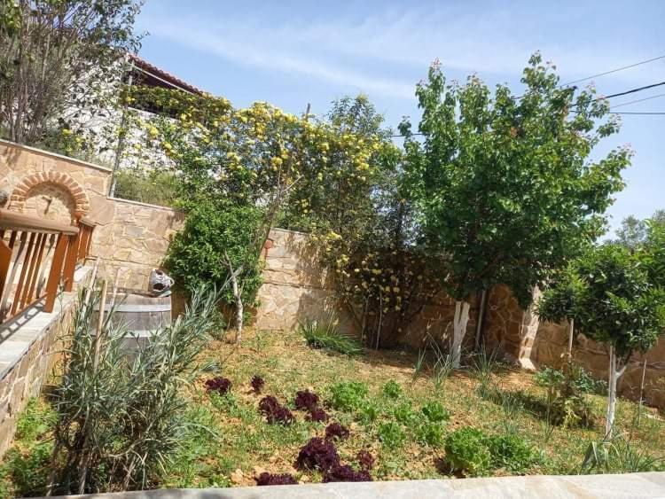 הוילה Pikérmion Peaceful House Near Airport מראה חיצוני תמונה