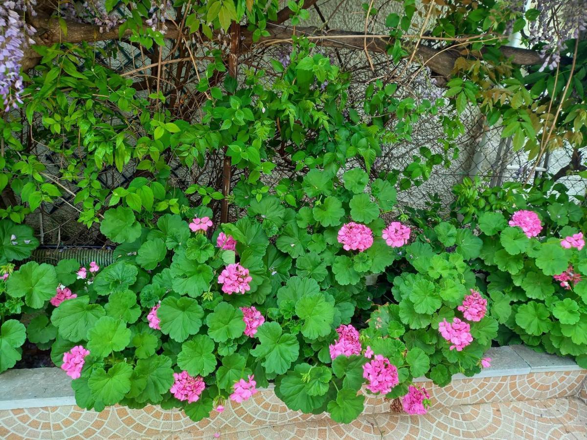 הוילה Pikérmion Peaceful House Near Airport מראה חיצוני תמונה