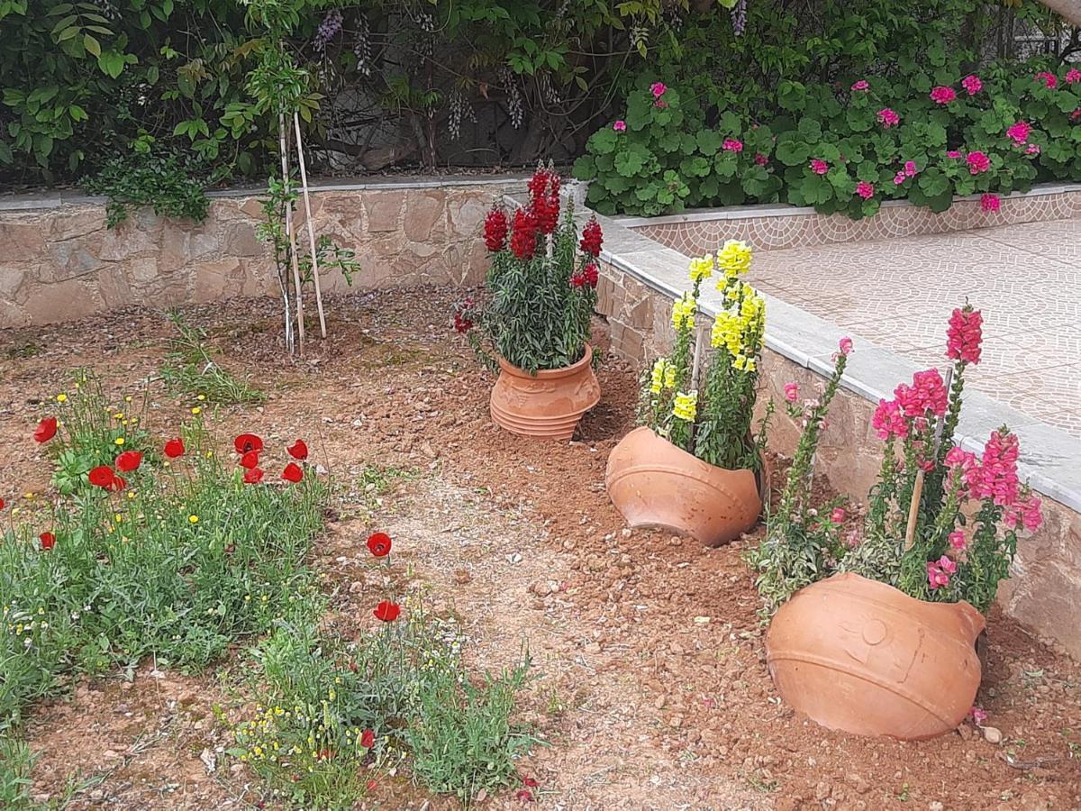 הוילה Pikérmion Peaceful House Near Airport חדר תמונה