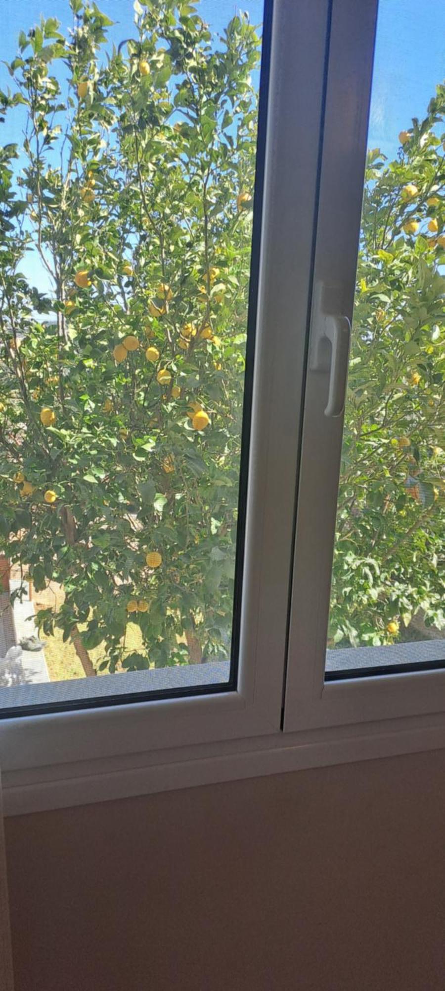 הוילה Pikérmion Peaceful House Near Airport מראה חיצוני תמונה