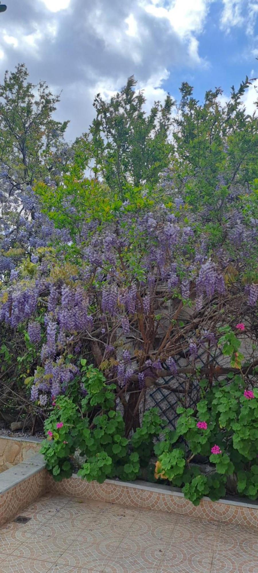 הוילה Pikérmion Peaceful House Near Airport מראה חיצוני תמונה