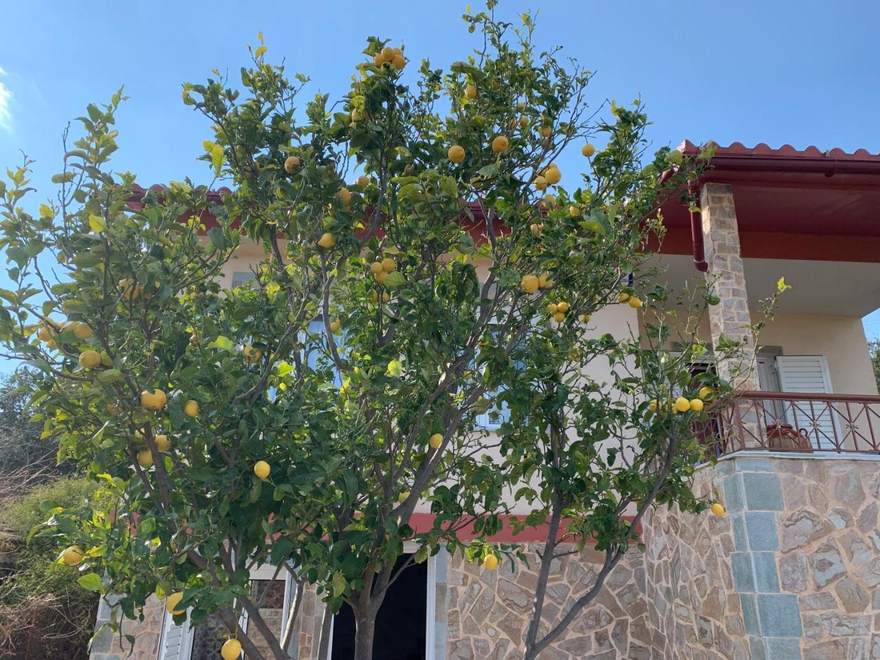 הוילה Pikérmion Peaceful House Near Airport מראה חיצוני תמונה