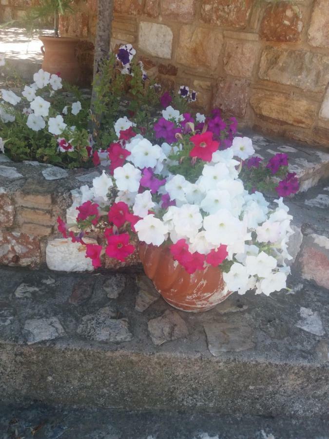 הוילה Pikérmion Peaceful House Near Airport מראה חיצוני תמונה
